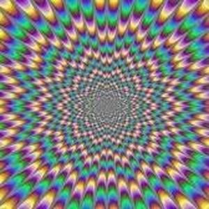 Meet your Posher, Autumn